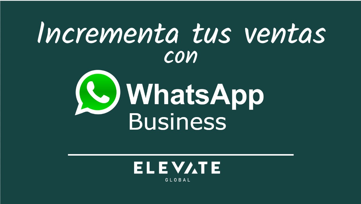 En este momento estás viendo Curso de Whatsapp Business para Microempresarios